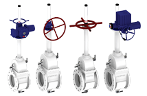 Posiwell Double Block Bleed Gate Valve